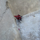 Illustration for article titled 134 Terrifying Close-Ups Of Bugs